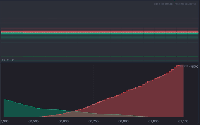 Time Heatmap resting liquidity and Depth Chart